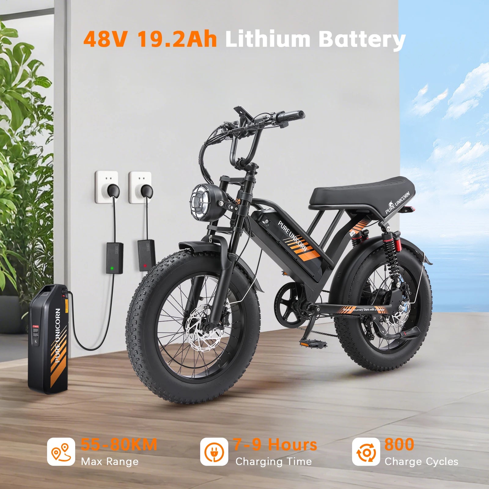 Pure Union 1000W Electric Bike