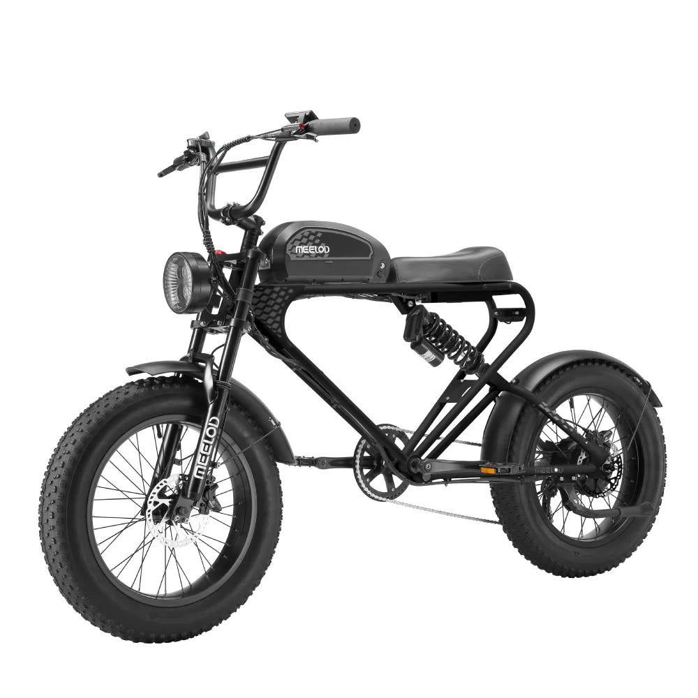 DK300UP E-Bike