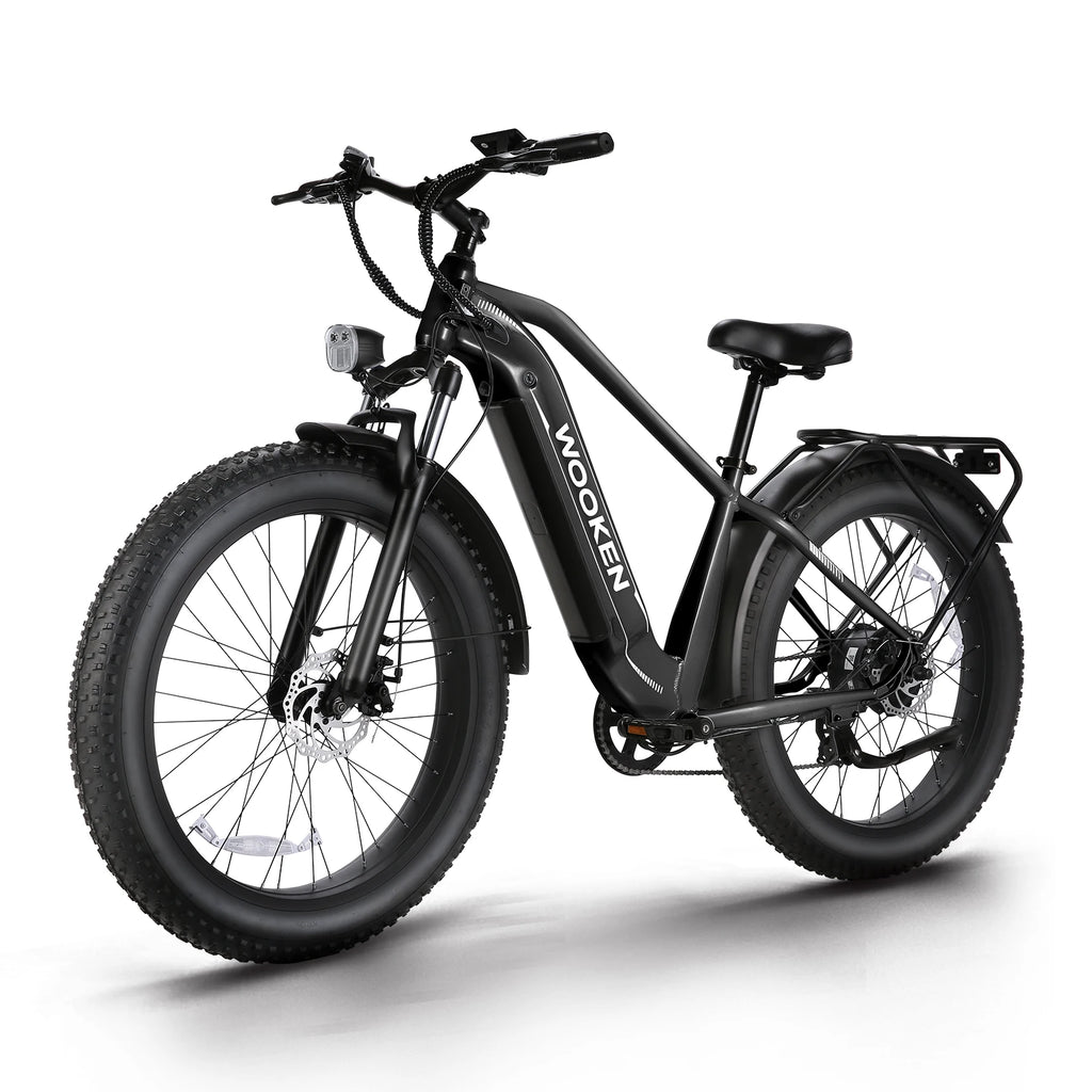Electric Bike 26"x4.0 Fat Tire