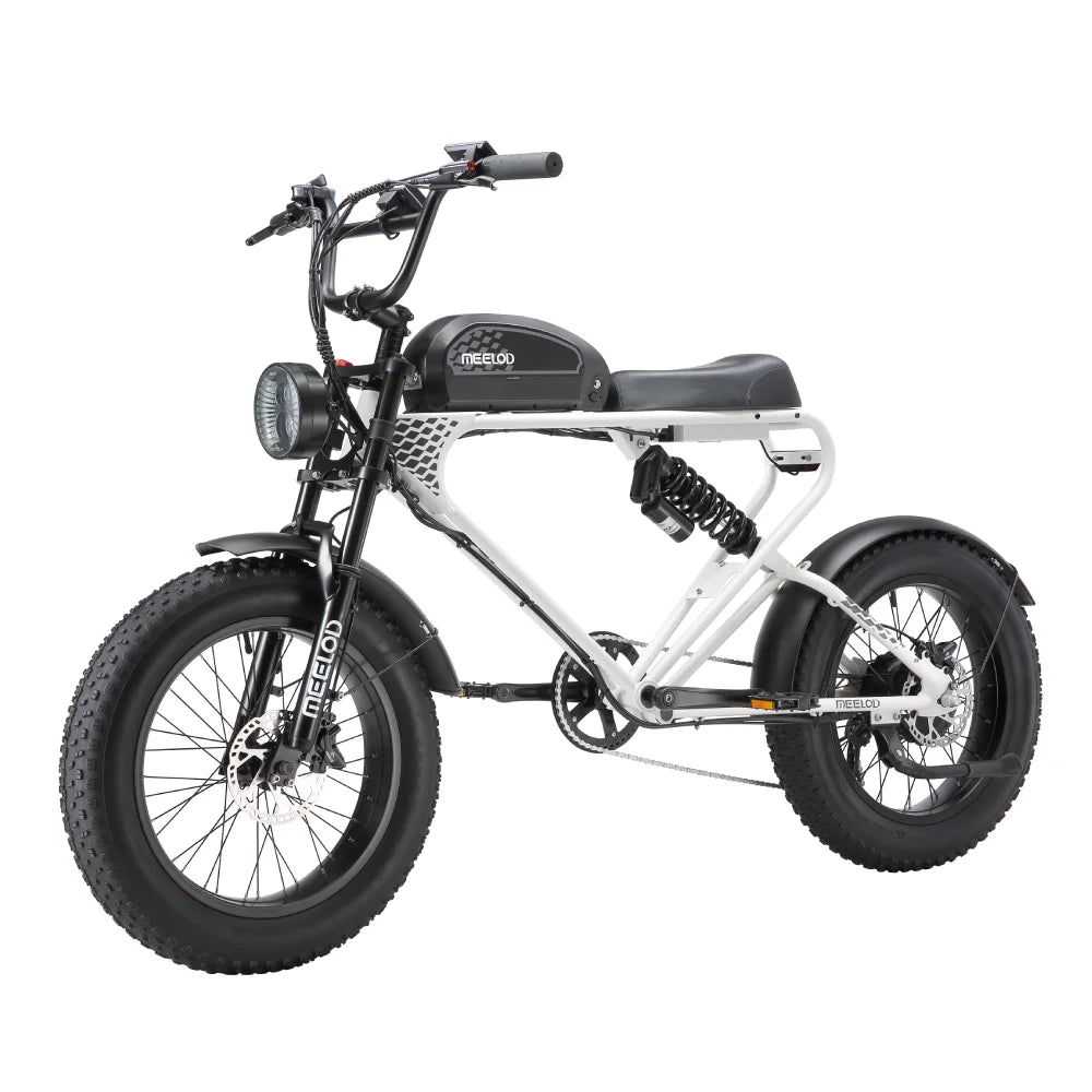DK300UP E-Bike