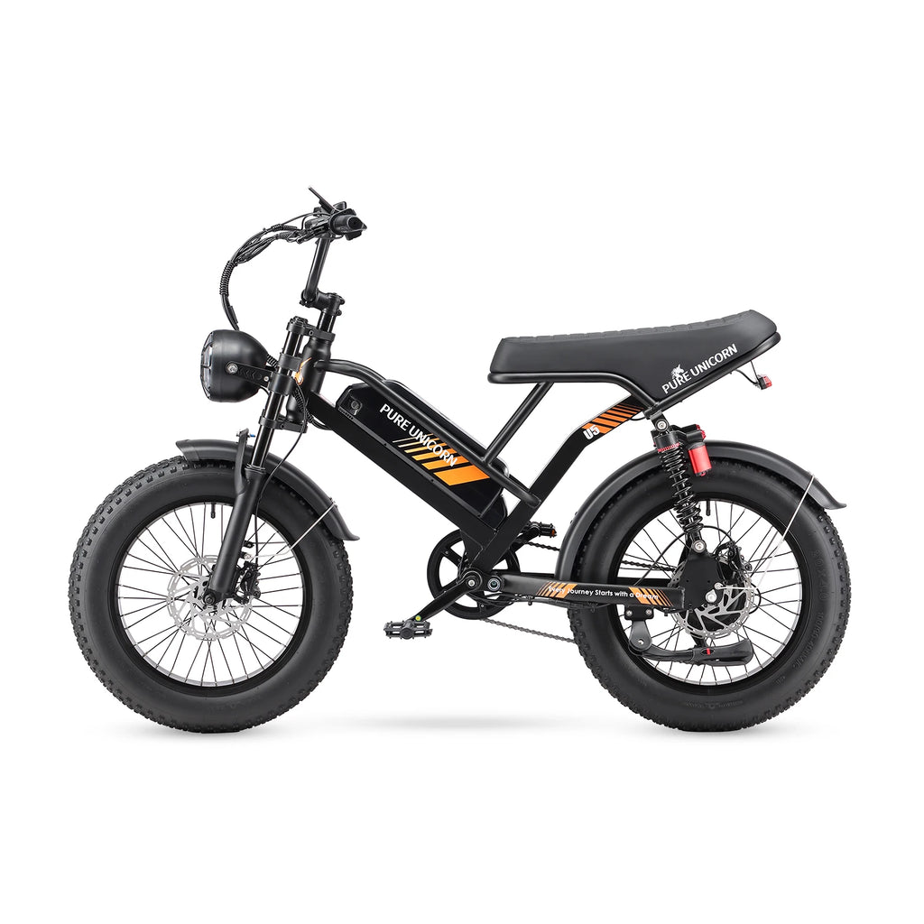 Pure Union 1000W Electric Bike