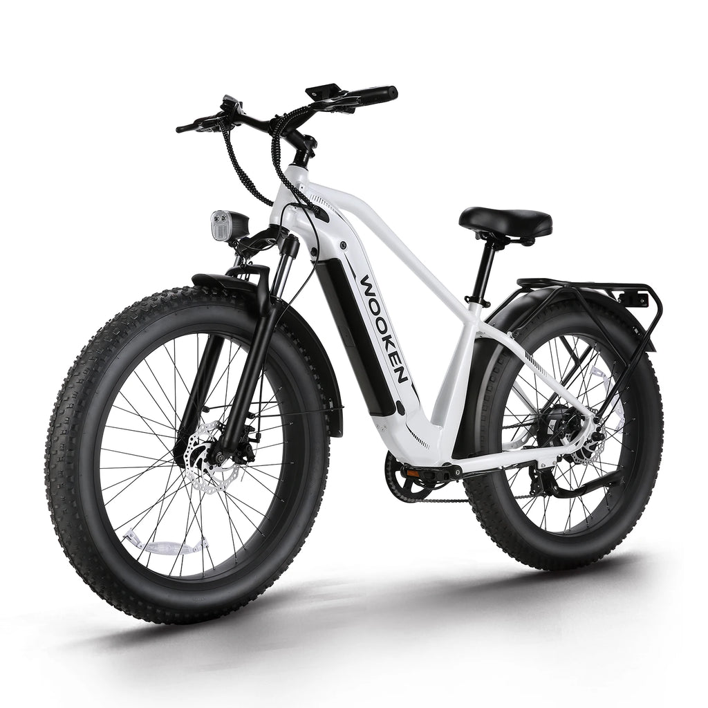 Electric Bike 26"x4.0 Fat Tire