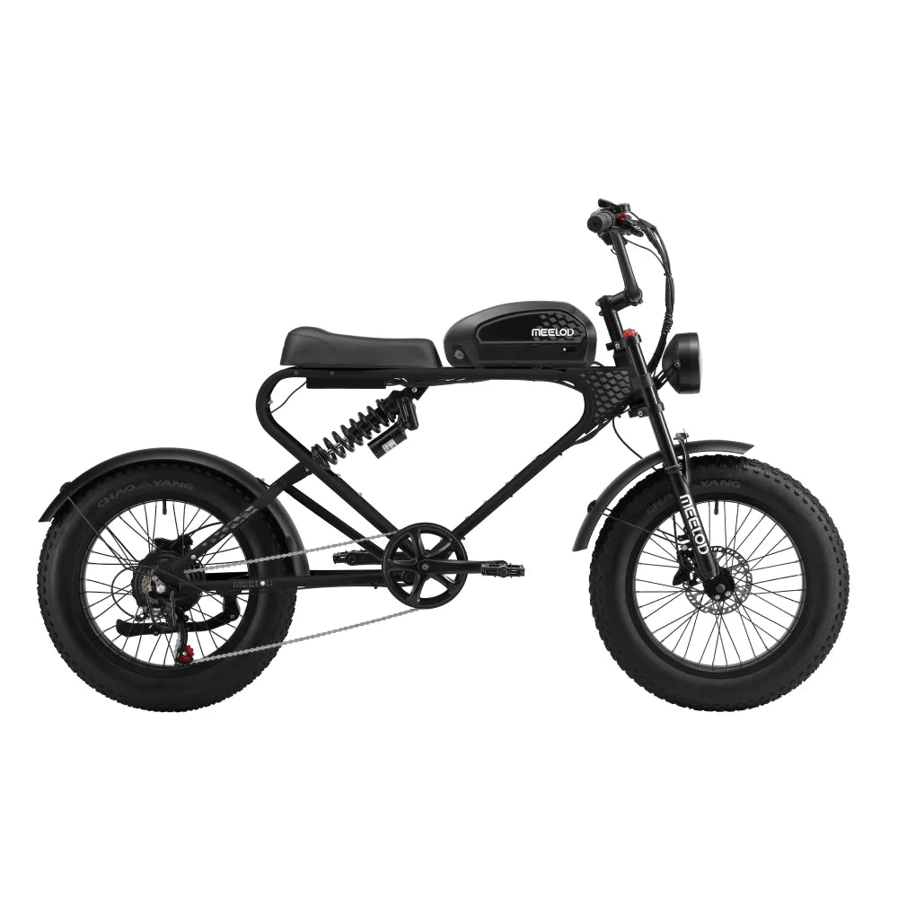 DK300UP E-Bike