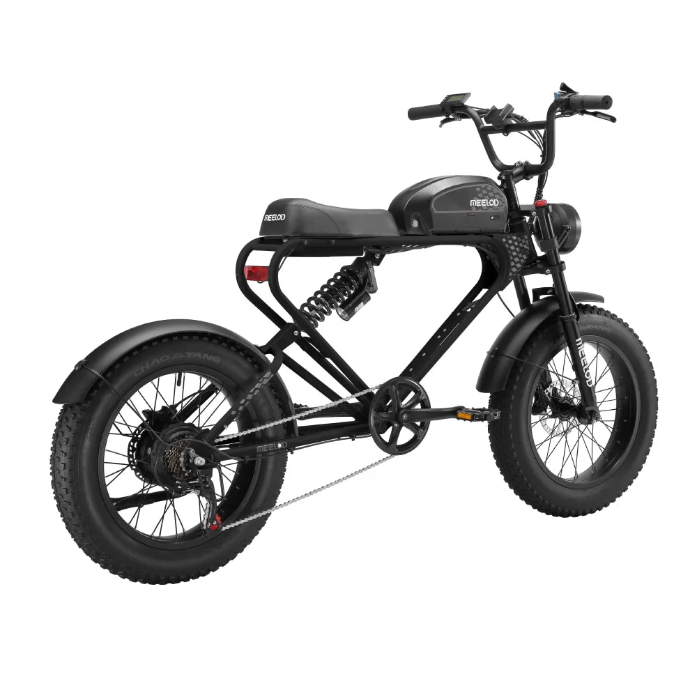 DK300UP E-Bike