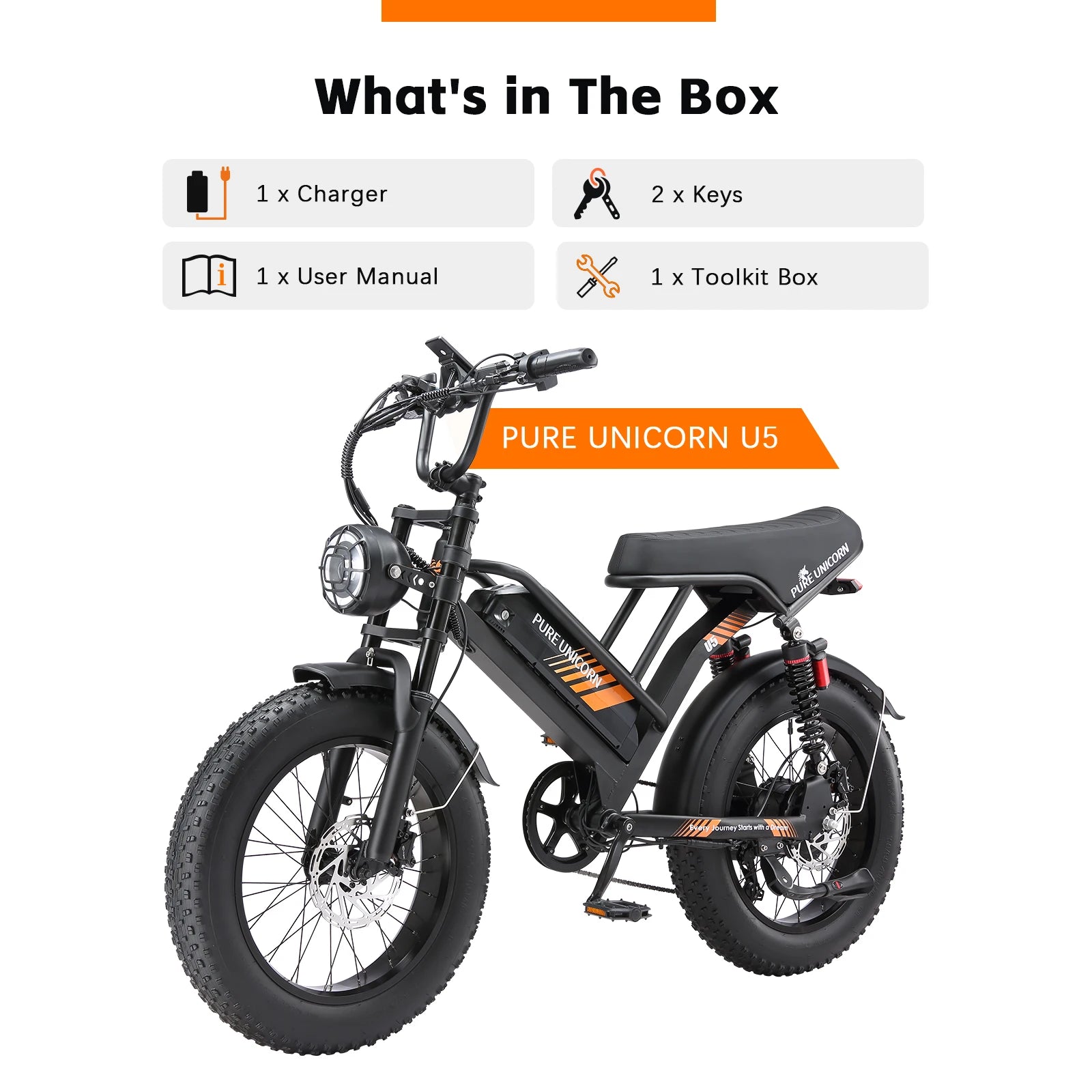 Pure Union 1000W Electric Bike