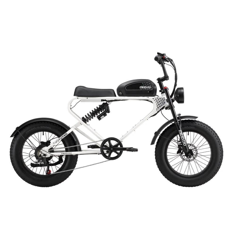DK300UP E-Bike