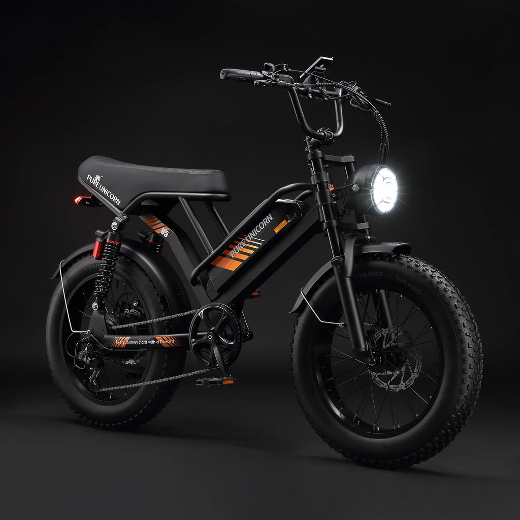 Pure Union 1000W Electric Bike