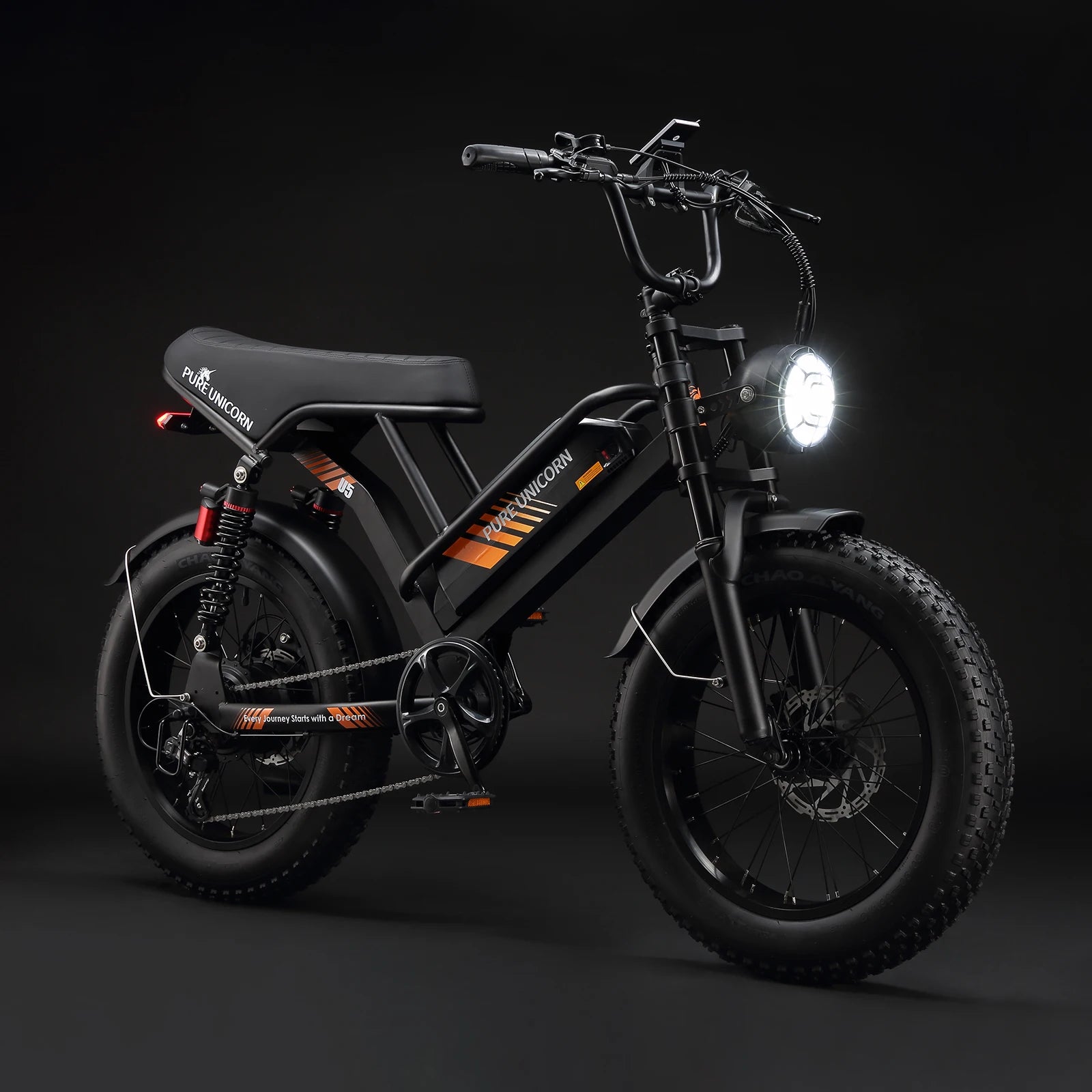 Pure Union 1000W Electric Bike