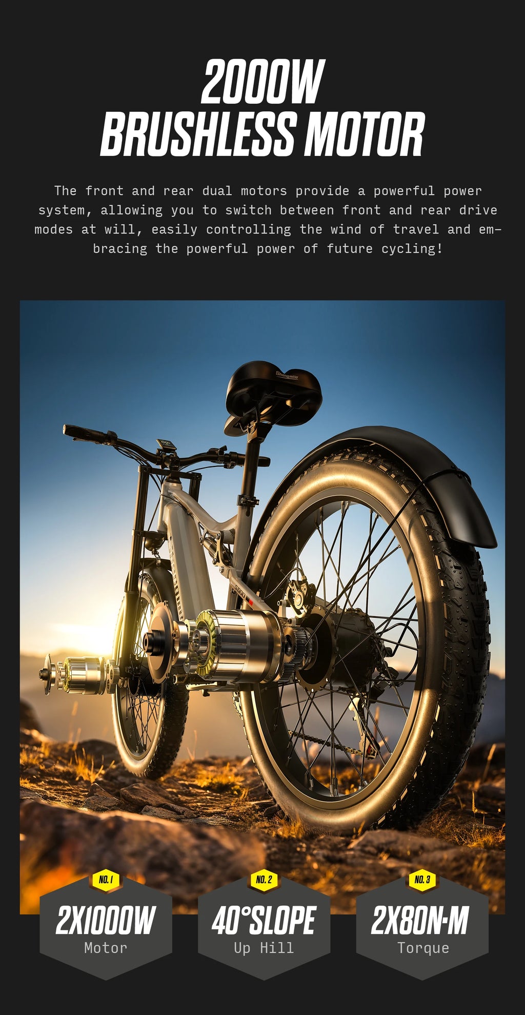 S600 Fat Tire E-Bike