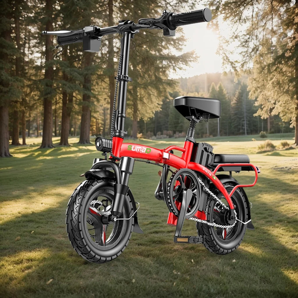 Foldable 14" Electric Bike