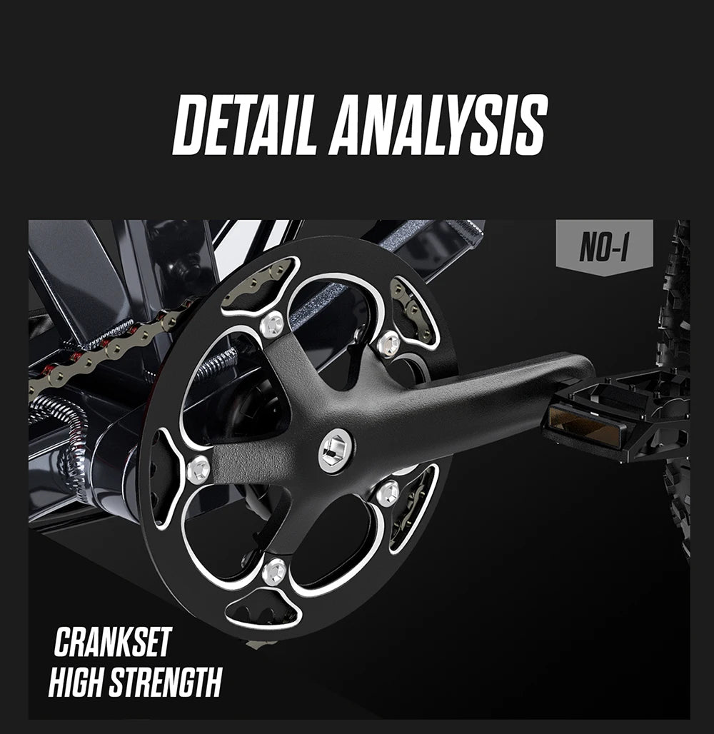 S900 1500W Electric Bicycle