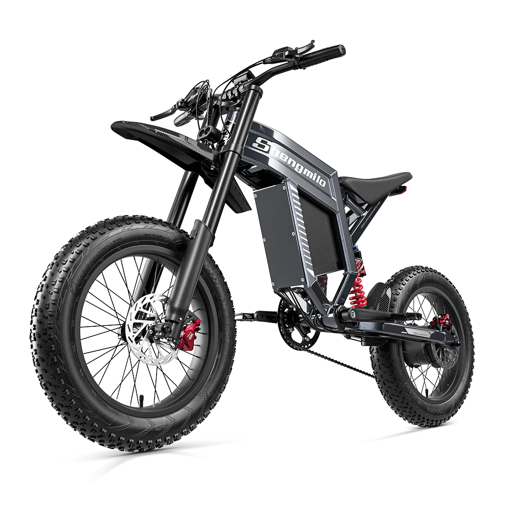 S900 1500W Electric Bicycle