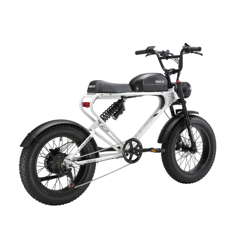 DK300UP E-Bike