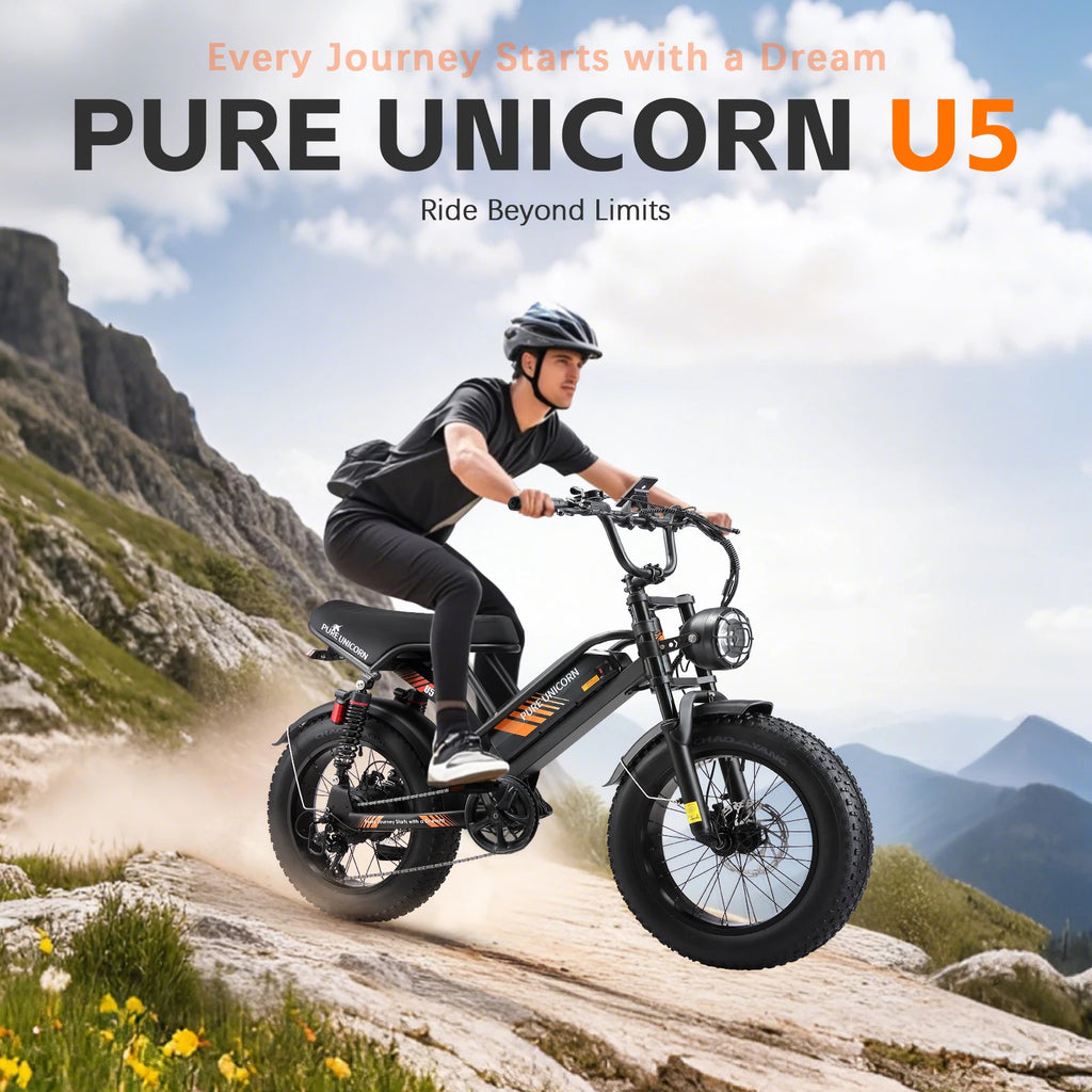 Pure Union 1000W Electric Bike