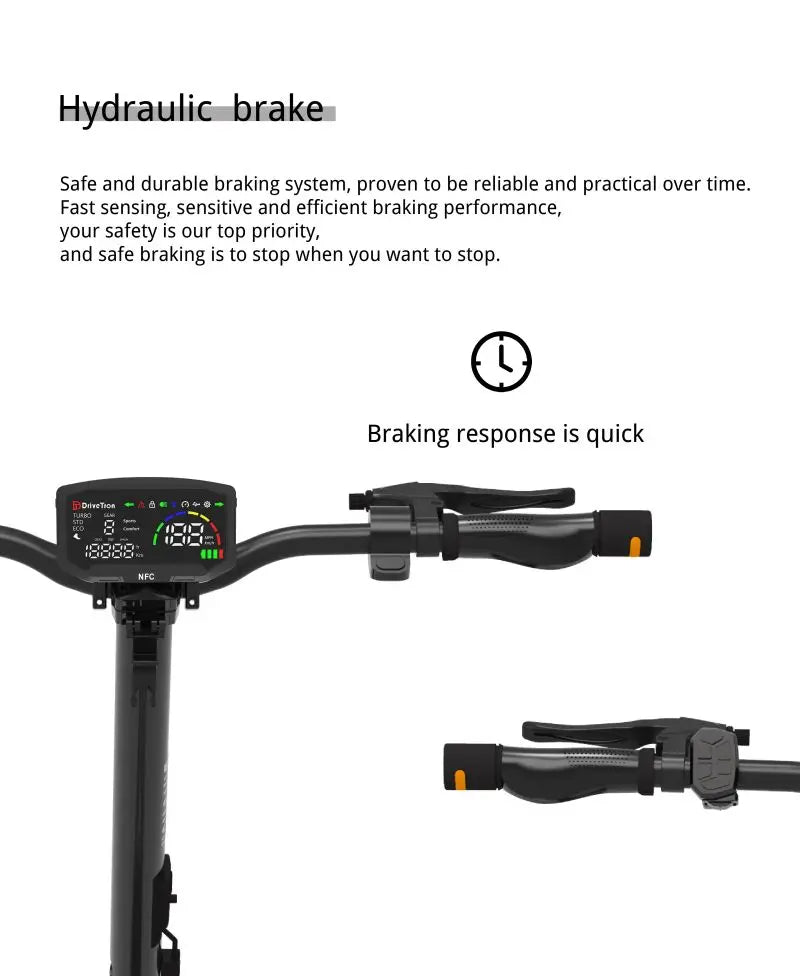 DT06 Electric Scooter