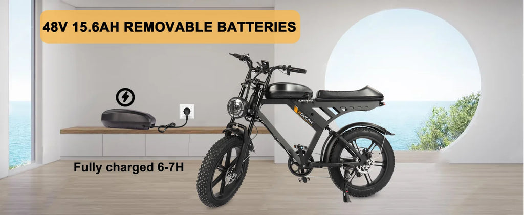 V30 Full Suspension E-Bike